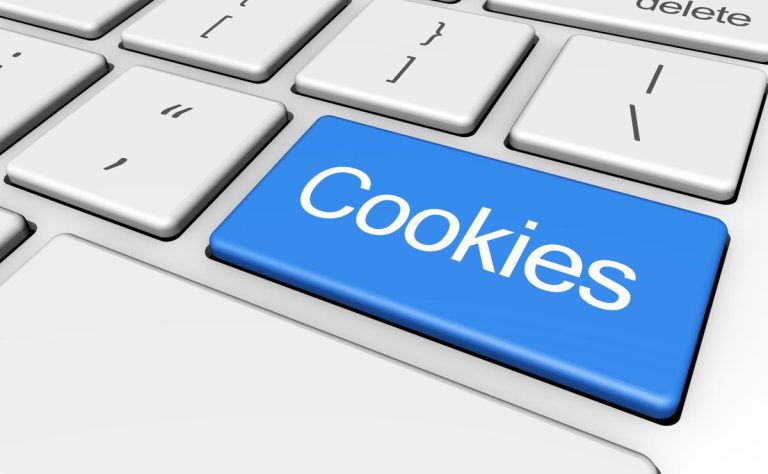 Importancia política de Cookies