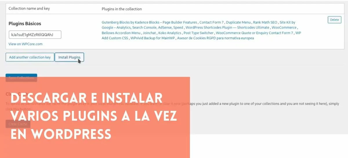 Varios Plugins a la vez WordPress F