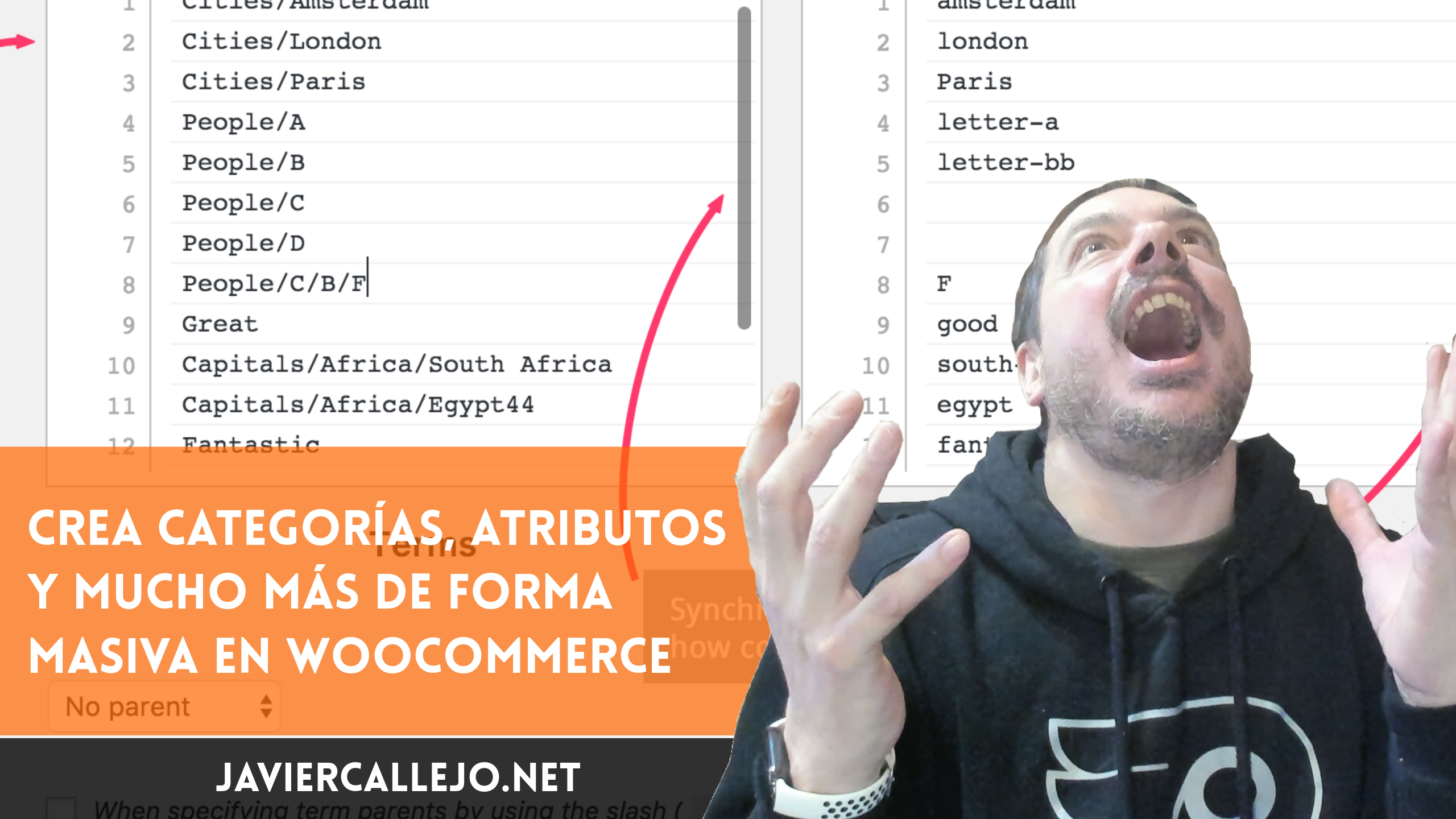 Crear categorías de productos en bloque en WooCommerce