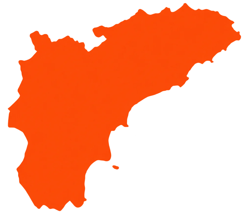 Diseño web en Alicante